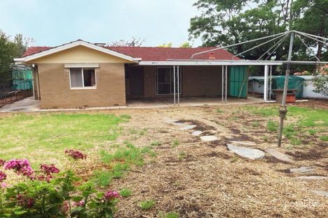 Property photo of 34 Allinga Avenue Glenside SA 5065
