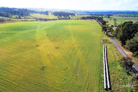 Property photo of 1282 Triangle Flat Road Triangle Flat NSW 2795