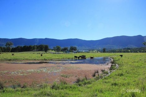 Property photo of 166 Pumpenbil Road Pumpenbil NSW 2484