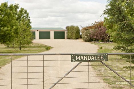 591 Spring Creek Rd, Young, NSW 2594