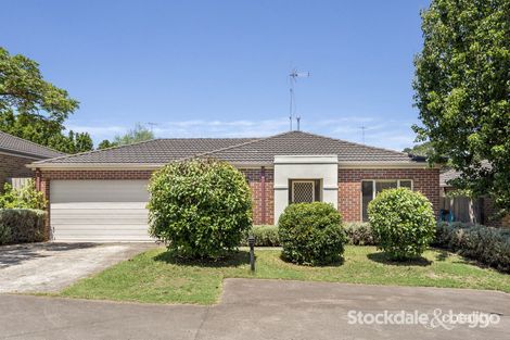 Property photo of 2/66 Wyndham Street Drysdale VIC 3222