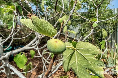 39 Masters Rd, Riverton, SA 5412