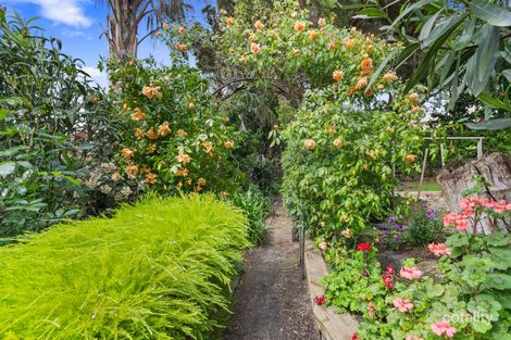 Property photo of 19 Mitic Court Frankston South VIC 3199