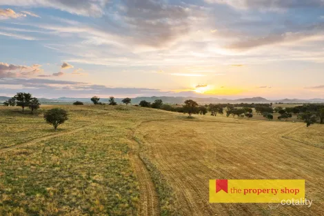 705 Springfield Lane, Gulgong, NSW 2852