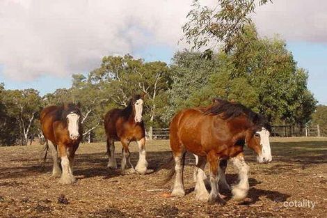 Property photo of 67 Schrapels Road Mount Pleasant SA 5235