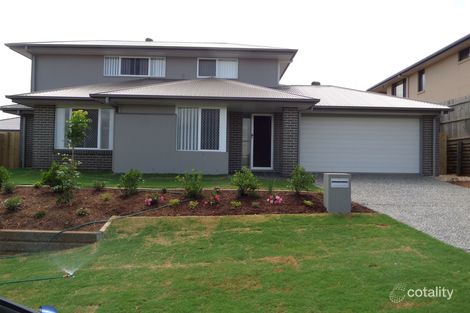 Property photo of 39 Lynch Crescent Birkdale QLD 4159