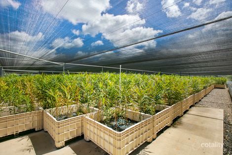 Property photo of 50 Bambling Road Scotchy Pocket QLD 4570