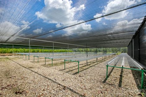 Property photo of 50 Bambling Road Scotchy Pocket QLD 4570