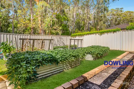 Property photo of 26 Lillypilly Close Medowie NSW 2318