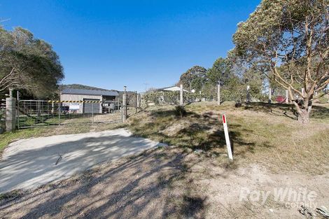 Property photo of 1479 Leggetts Drive Brunkerville NSW 2323