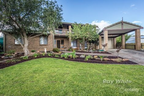 Property photo of 6 Dowie Court Hope Valley SA 5090