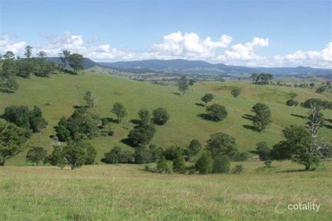 Property photo of 99 Bundook Road Tugrabakh NSW 2422
