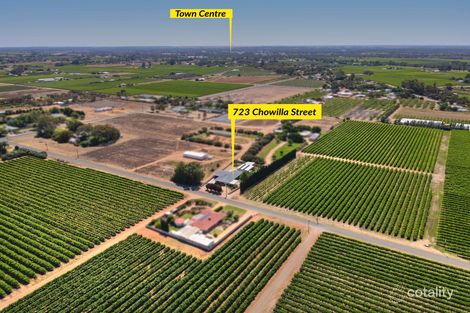 Property photo of 723 Chowilla Street Renmark SA 5341