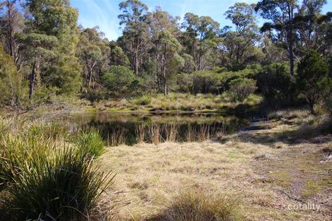 1643 Bridport Rd, Bridport, TAS 7262