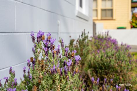 Property photo of 61 Derwent Park Road Moonah TAS 7009