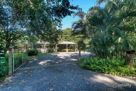 Property photo of 3351 Mossman Daintree Road Daintree QLD 4873
