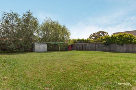 Property photo of 51 Alma Street Malvern East VIC 3145