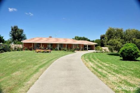 Property photo of 129 Chapman Street Swan Hill VIC 3585