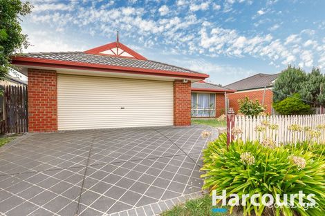Property photo of 28 Hasluck Crescent Lynbrook VIC 3975