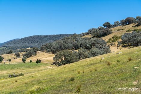 Property photo of 500 Mountain Creek Road Uriarra NSW 2611