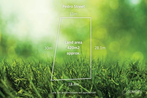 4 Pedro St, Clyde North, VIC 3978