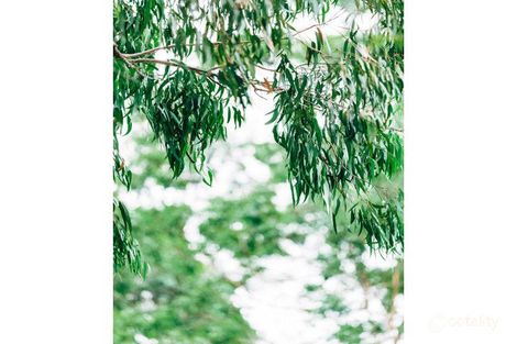 Property photo of 63A Stonyfell Road Stonyfell SA 5066