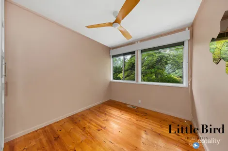 Property photo of 38 Nelumbo Street Rivett ACT 2611