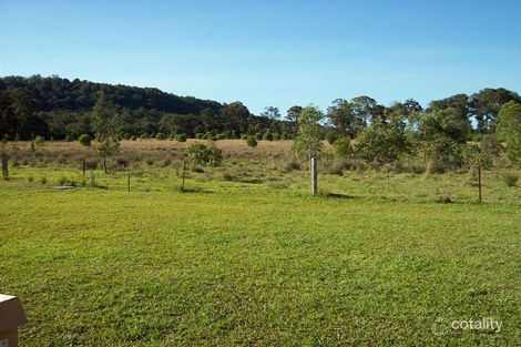Property photo of 11 Potaroo Place Townsend NSW 2463