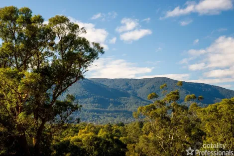 Property photo of 8 Timberbelle Place Yarra Junction VIC 3797