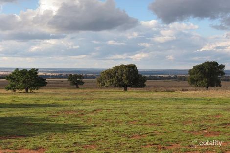 32r Albion Hills Rd, Wongarbon, NSW 2831