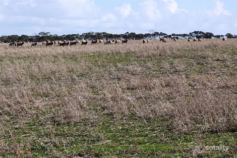 353 Illman Rd, Minlaton, SA 5575