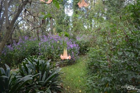 16 Ellison Rd, Springwood, NSW 2777