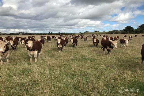 101 Thomson Lane, Seaton, VIC 3858