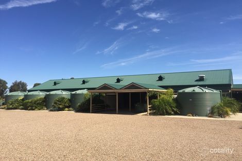 3004 Randell Rd, Mannum, SA 5238