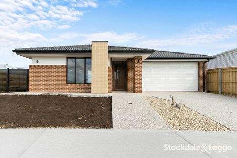 Property photo of 31 Broadway Boulevard Traralgon VIC 3844