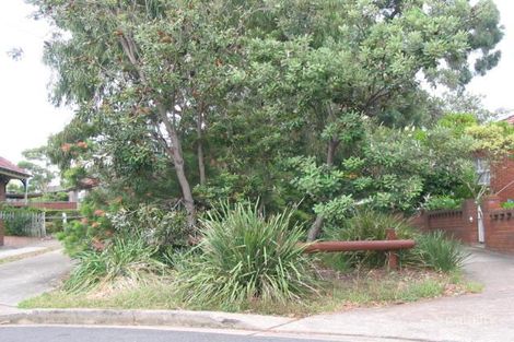 3/12 Palace St, Ashfield, NSW 2131