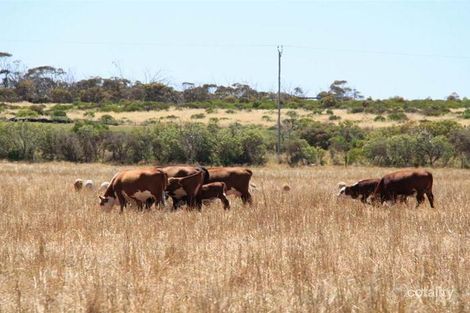 Property photo of 1156 Bakehouse Road Mypolonga SA 5254