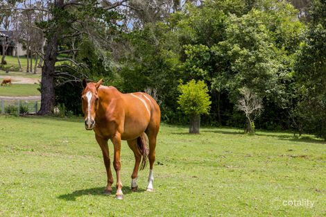 Property photo of 3 Heckenberg Road Glenorie NSW 2157