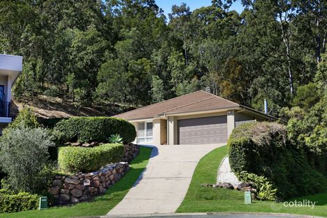 Property photo of 16 Coffeebush Court Reedy Creek QLD 4227