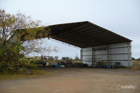 Property photo of 36 Mills Lane Boundary Bend VIC 3599