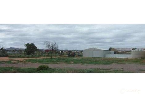 Property photo of 13 Landrace Road Mullaquana SA 5608