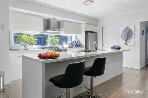 Property photo of 8 Arrowtail Street Chisholm NSW 2322