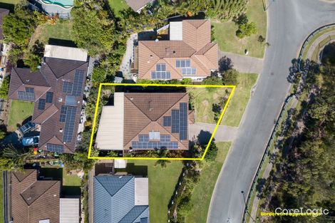 Property photo of 17 Chantrill Avenue Nerang QLD 4211