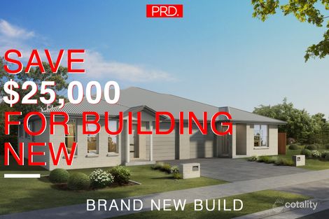 1/6 Avocet St, Aberglasslyn, NSW 2320