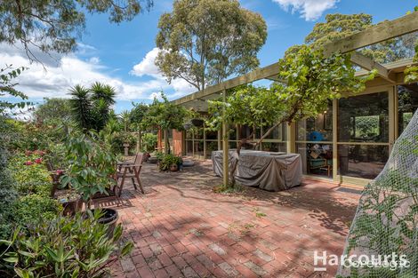 Property photo of 12 Maculata Walk Vermont South VIC 3133