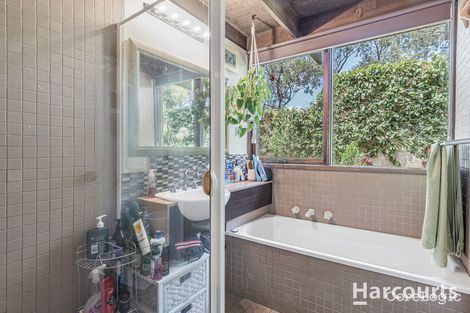 Property photo of 12 Maculata Walk Vermont South VIC 3133