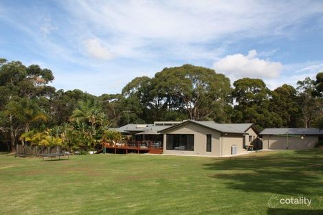 Property photo of 6 Cicada Glen Road Ingleside NSW 2101