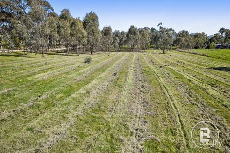 23 York Ave, Avoca, VIC 3467