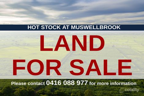 1704/8911 New England Hwy, Muswellbrook, NSW 2333