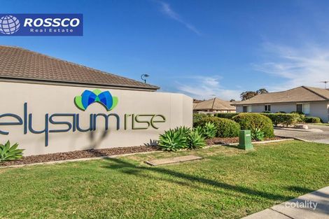 Property photo of 56/1-31 Elsie Street Kallangur QLD 4503
